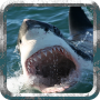 icon Angry SharkWild Attack