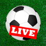 icon Football Live Score Tv