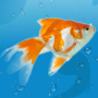 icon AquaLife 3D