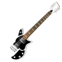 icon Jazz Guitar