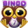 icon Bingo Crack