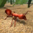 icon Fire Ant 1.0