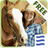 icon WesternHorse 1.1